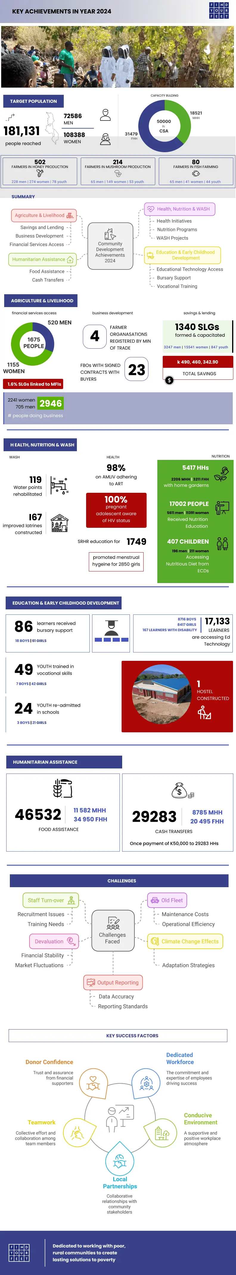 Infographic - Annual progress presentation