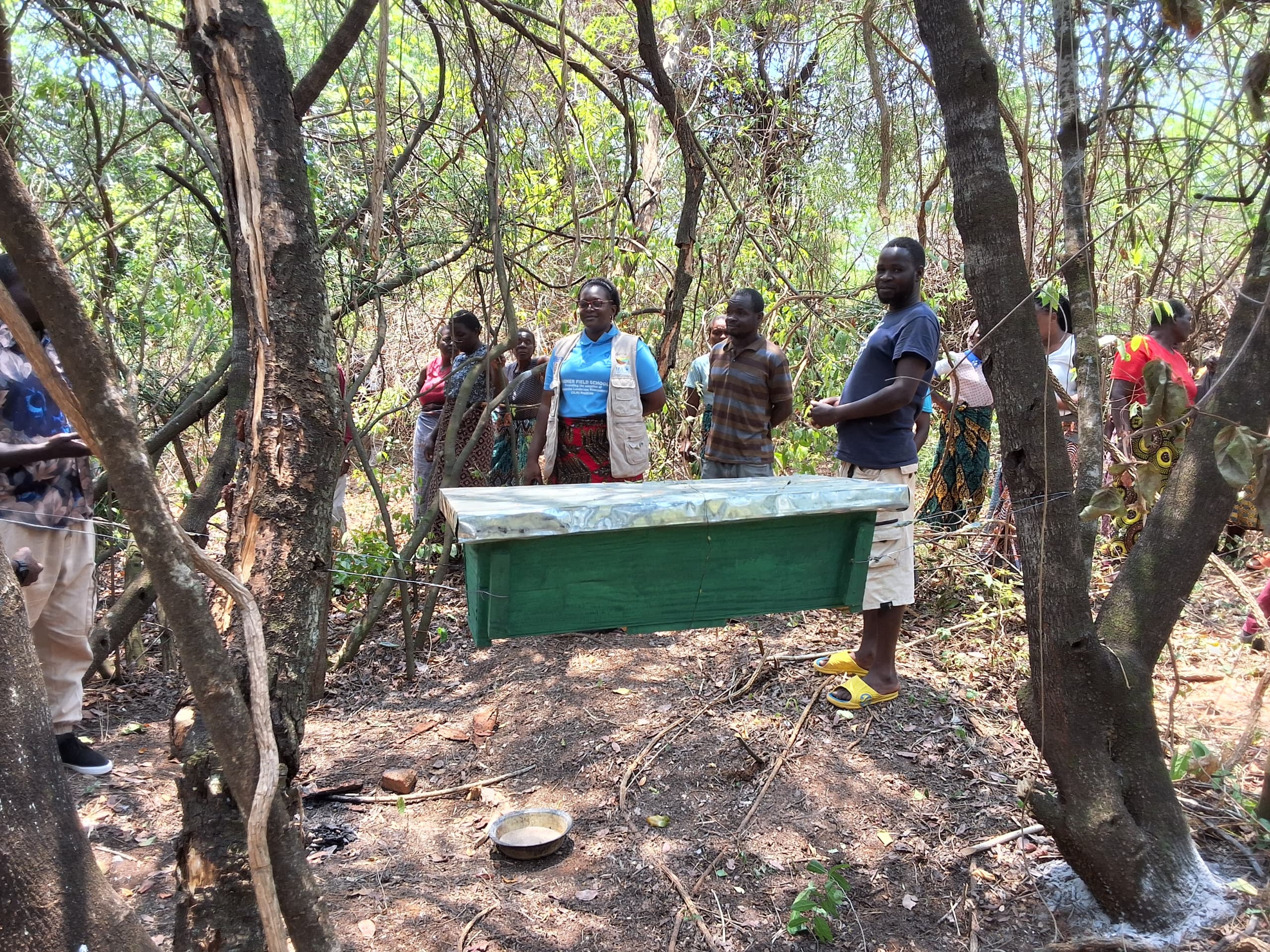 Forest Landscape Restoration — FAO